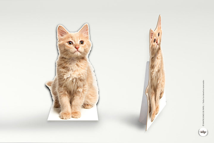 Foto a tamaño real de mascota gato en carton
