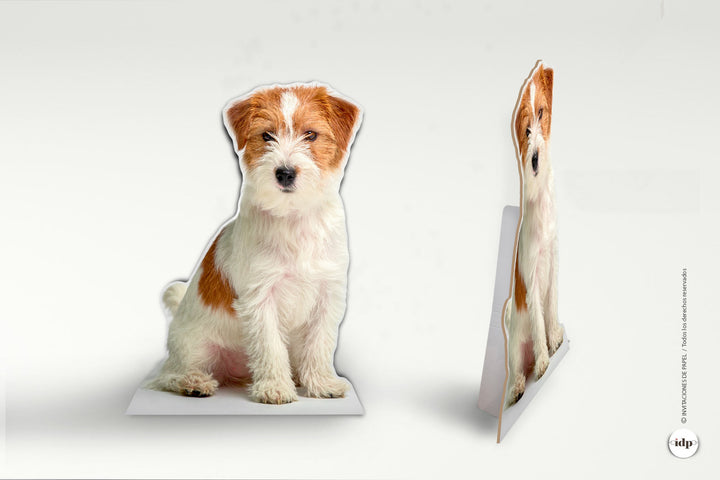 Foto a tamaño real de perro en carton